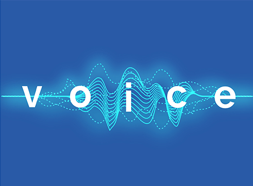 Voice assessment and therapy